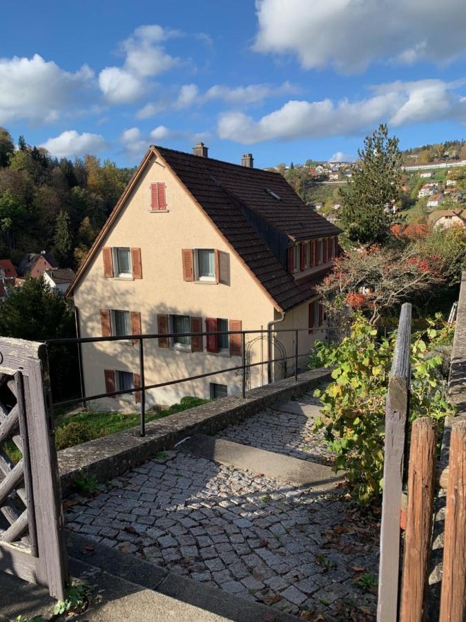 Grosse Wohnung Mit 2 Schlafzimmern Altensteig Bagian luar foto